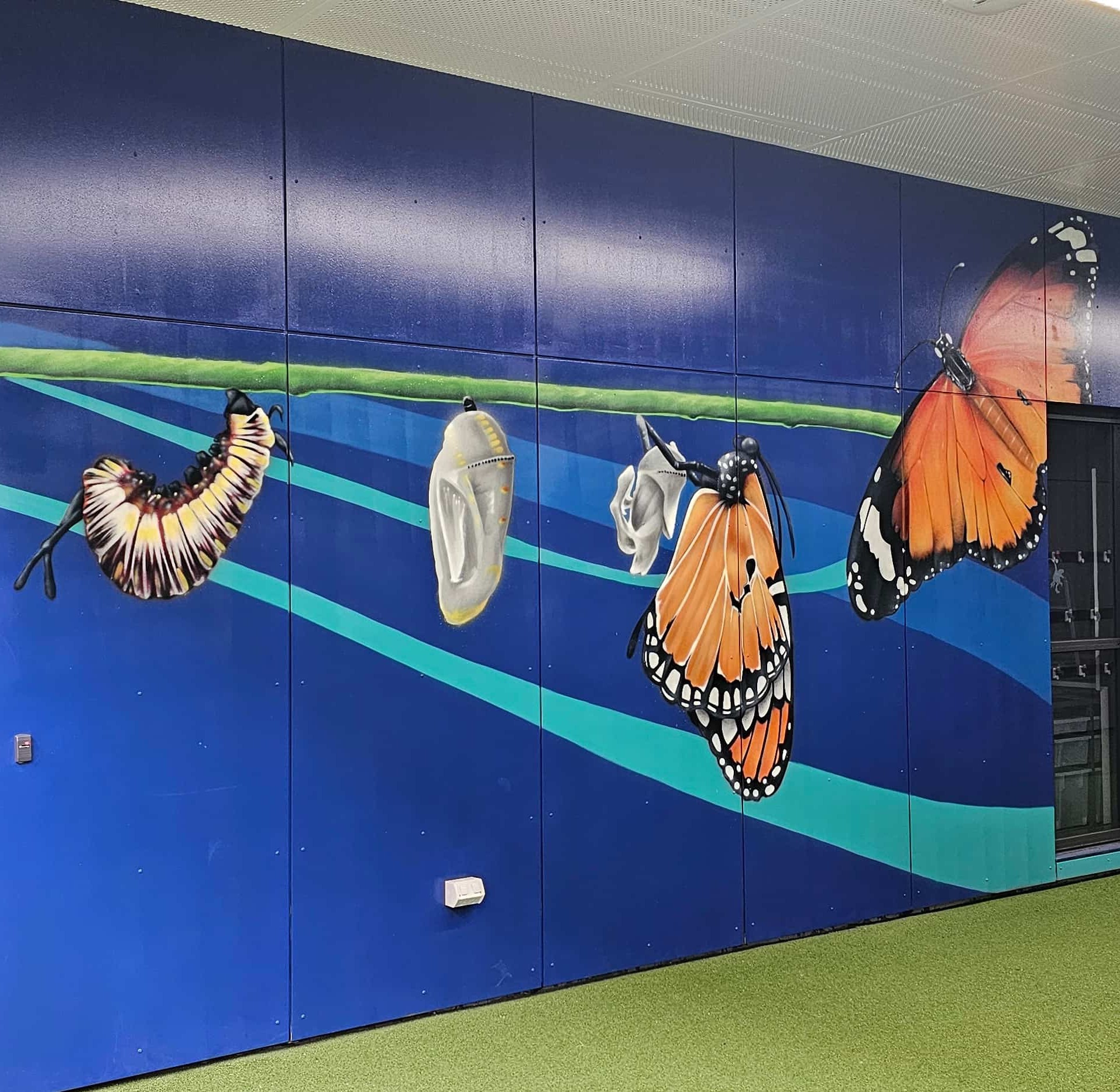 Vibrant wall murals creating welcoming and dynamic school spaces.