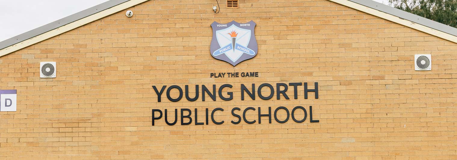 Young North Public School